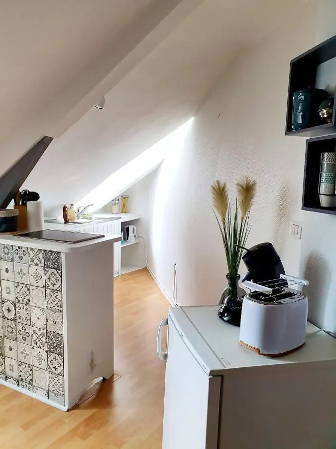 Chic Studio Sous Les Toits Du Centre Historique 瓦讷 0*,  法国